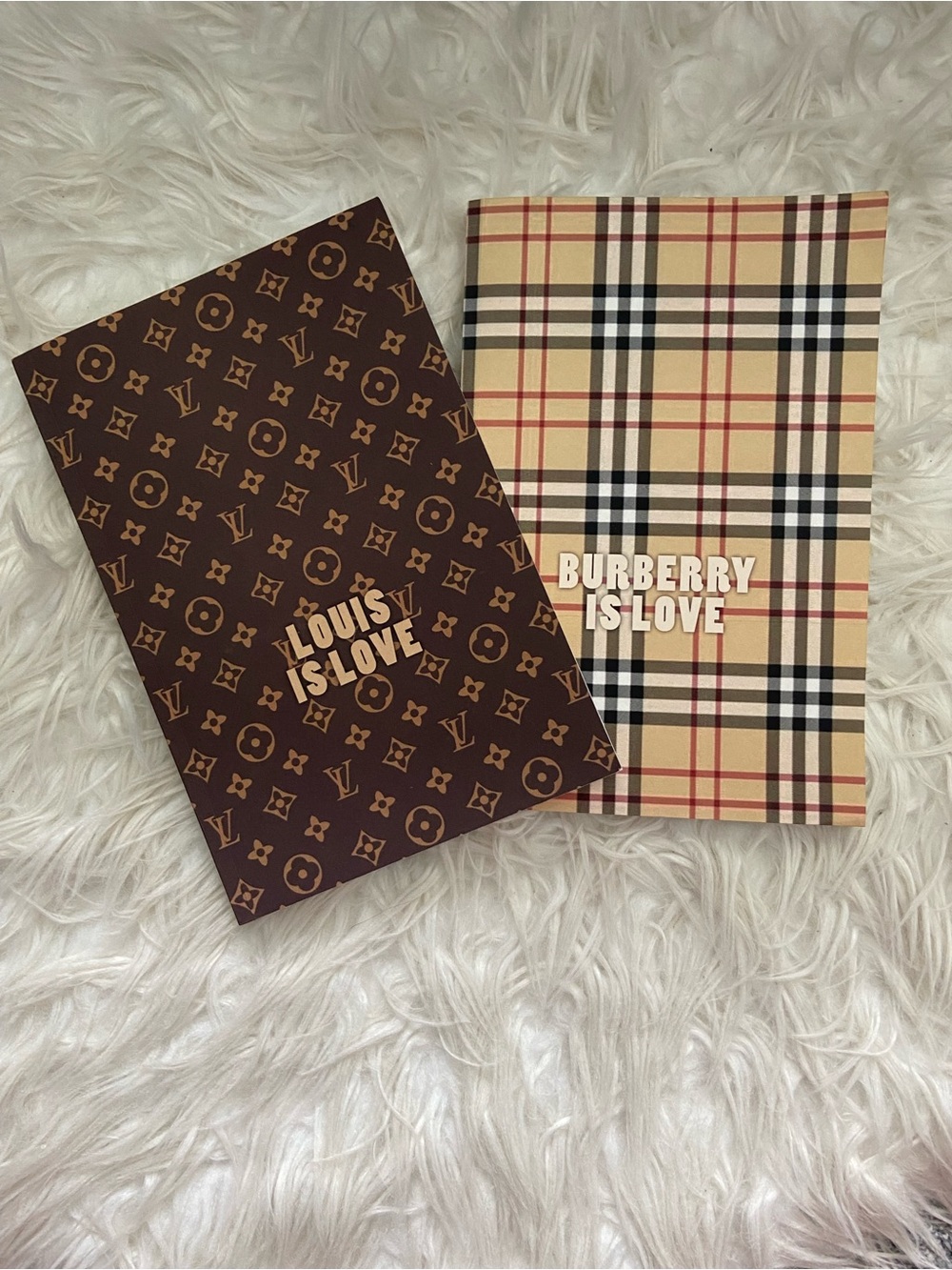 Stylish pair of Notebooks bundled
